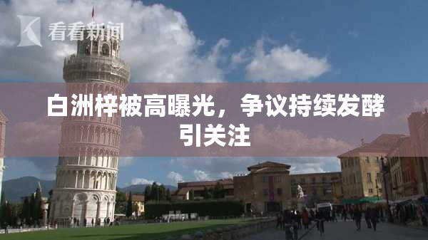 白洲梓被高曝光，争议持续发酵引关注