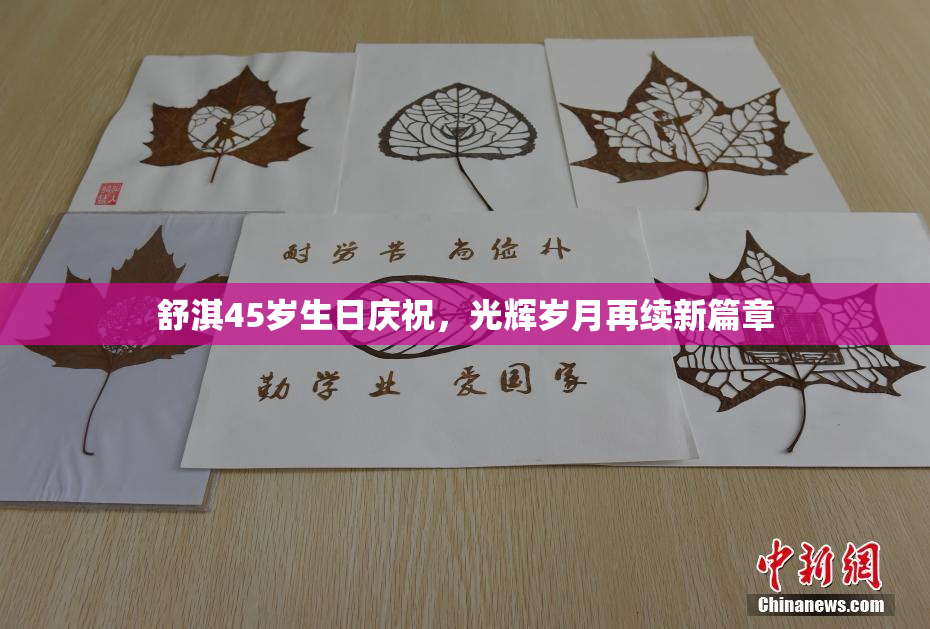 舒淇45岁生日庆祝，光辉岁月再续新篇章