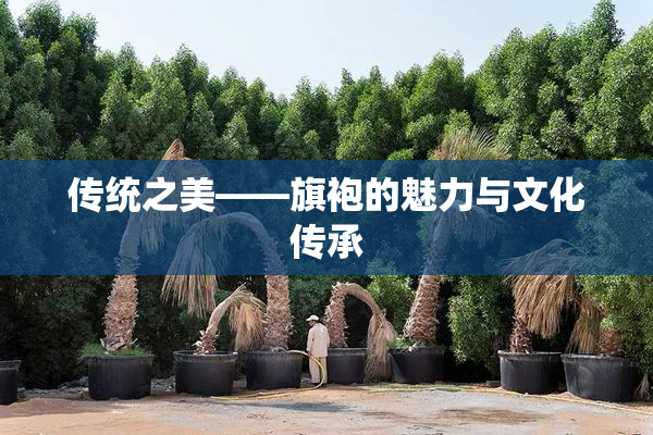 传统之美——旗袍的魅力与文化传承