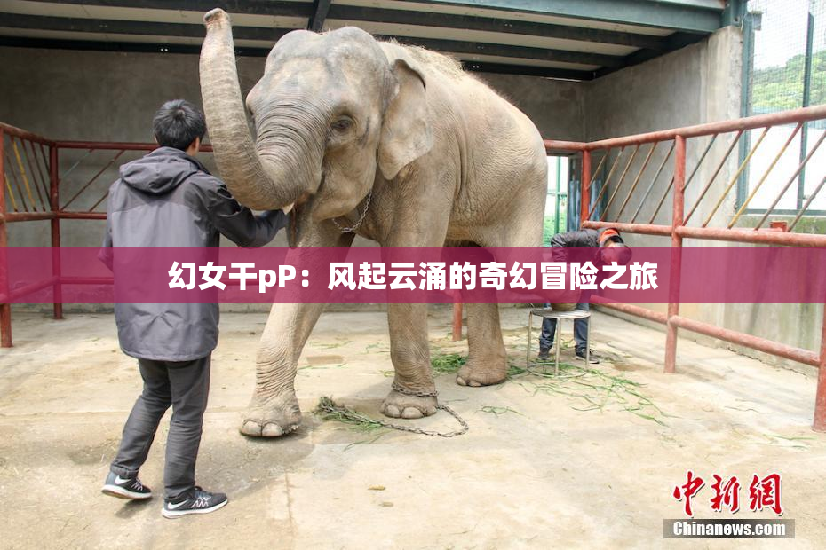 幻女干pP：风起云涌的奇幻冒险之旅