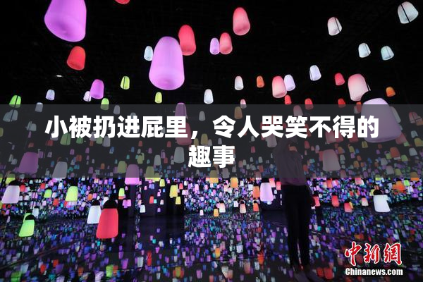 小被扔进屁里，令人哭笑不得的趣事