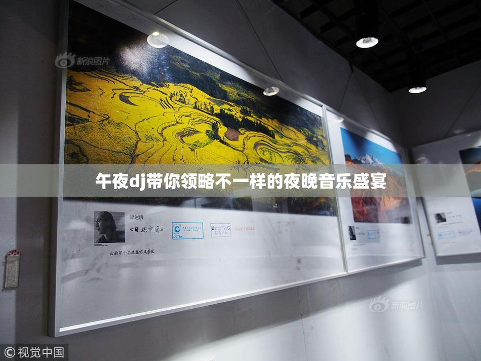 午夜dj带你领略不一样的夜晚音乐盛宴