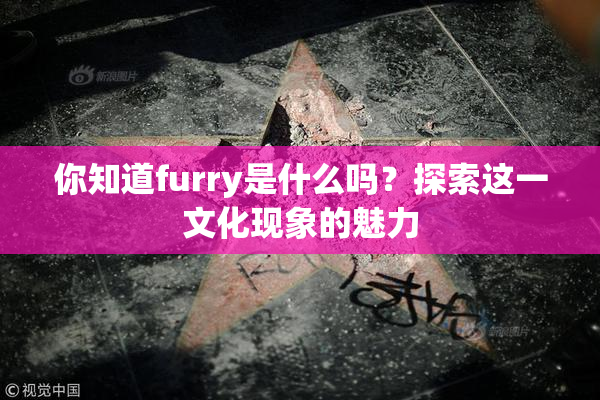 你知道furry是什么吗？探索这一文化现象的魅力