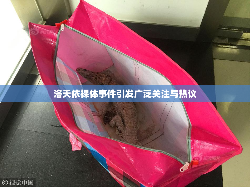 洛天依裸体事件引发广泛关注与热议