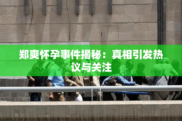郑爽怀孕事件揭秘：真相引发热议与关注