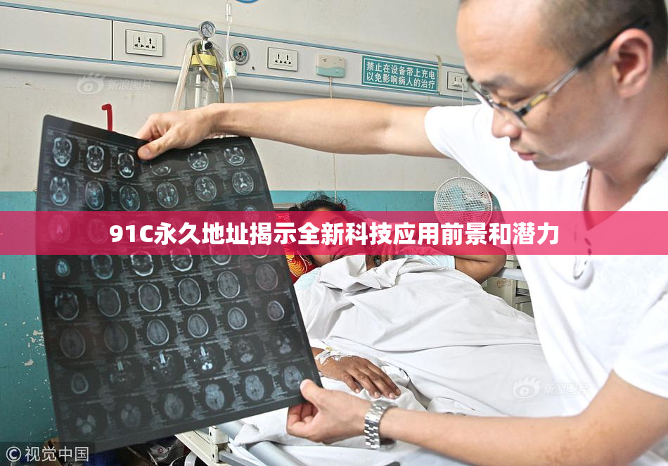 91C永久地址揭示全新科技应用前景和潜力
