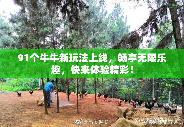 91个牛牛新玩法上线，畅享无限乐趣，快来体验精彩！
