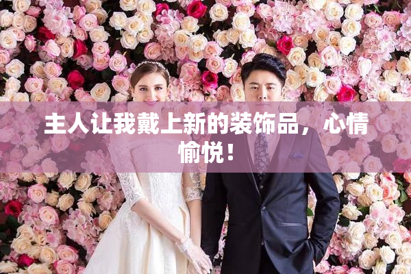 主人让我戴上新的装饰品，心情愉悦！