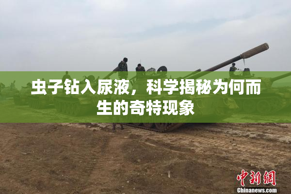 虫子钻入尿液，科学揭秘为何而生的奇特现象