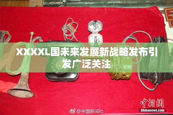 XXXXL国未来发展新战略发布引发广泛关注