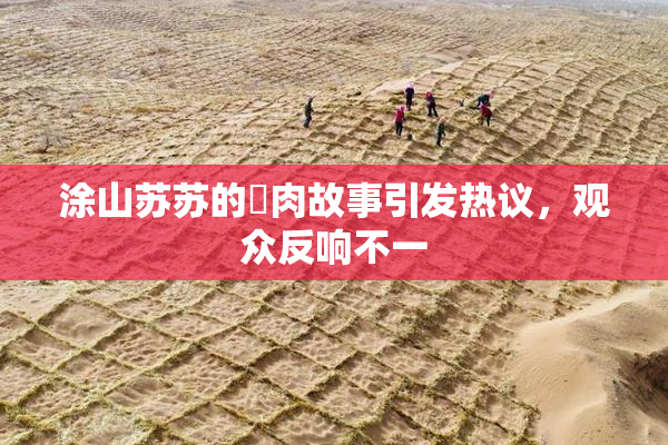 涂山苏苏的婬肉故事引发热议，观众反响不一