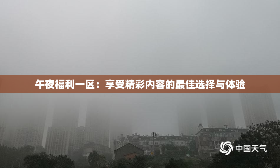 午夜福利一区：享受精彩内容的最佳选择与体验