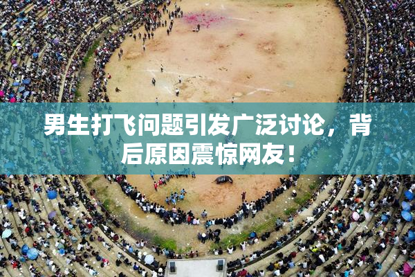 男生打飞问题引发广泛讨论，背后原因震惊网友！