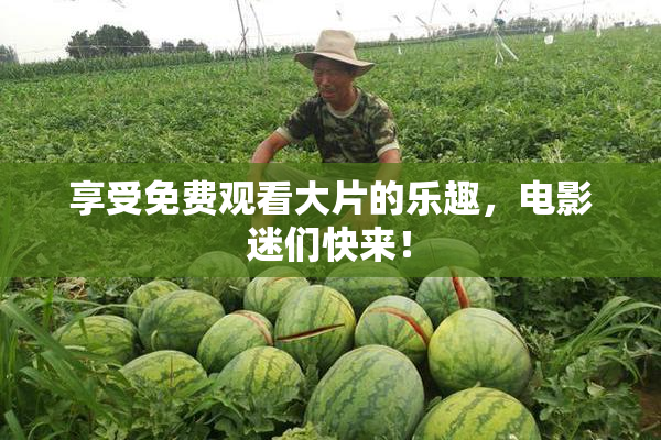 享受免费观看大片的乐趣，电影迷们快来！
