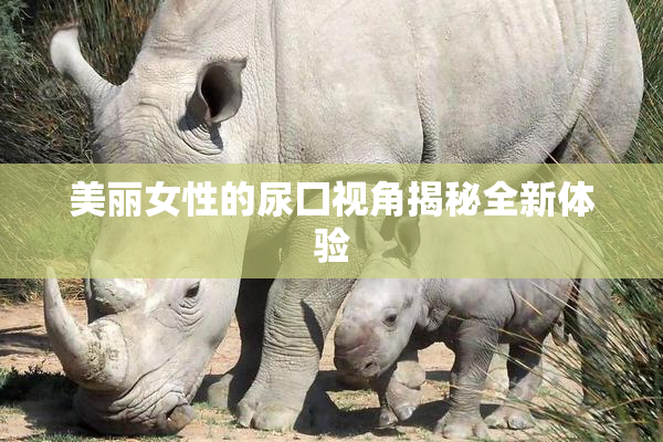 美丽女性的尿囗视角揭秘全新体验