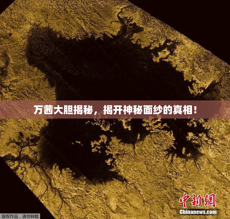 万茜大胆揭秘，揭开神秘面纱的真相！