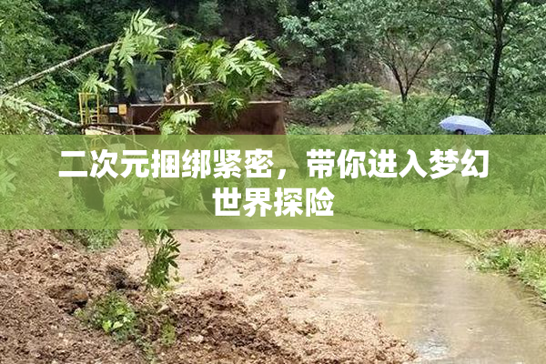 二次元捆绑紧密，带你进入梦幻世界探险