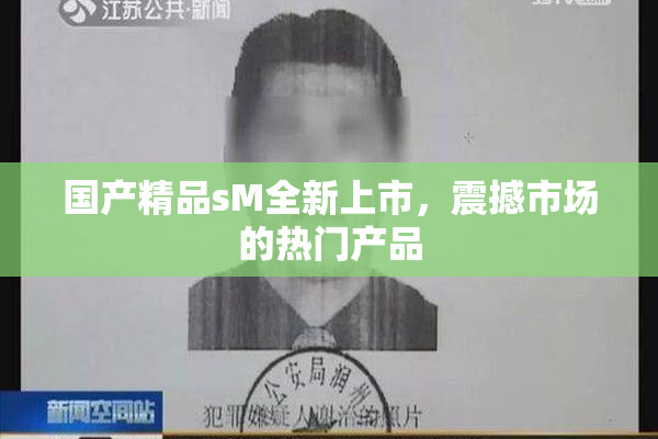 国产精品sM全新上市，震撼市场的热门产品