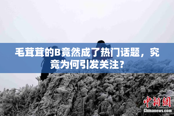 毛茸茸的B竟然成了热门话题，究竟为何引发关注？