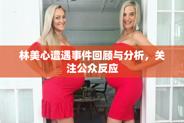 林美心遭遇事件回顾与分析，关注公众反应