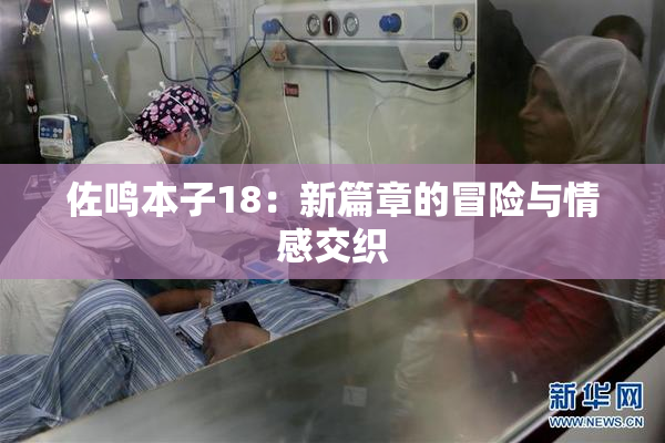 佐鸣本子18：新篇章的冒险与情感交织