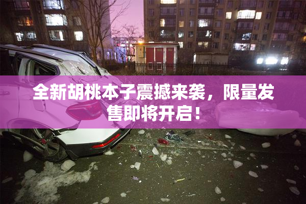 全新胡桃本子震撼来袭，限量发售即将开启！
