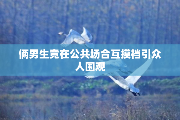 俩男生竟在公共场合互摸裆引众人围观