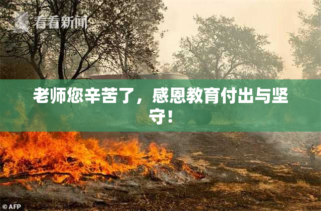 老师您辛苦了，感恩教育付出与坚守！