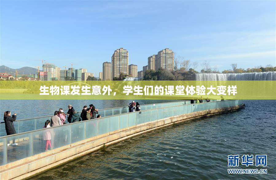 生物课发生意外，学生们的课堂体验大变样