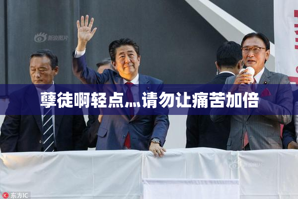 孽徒啊轻点灬请勿让痛苦加倍