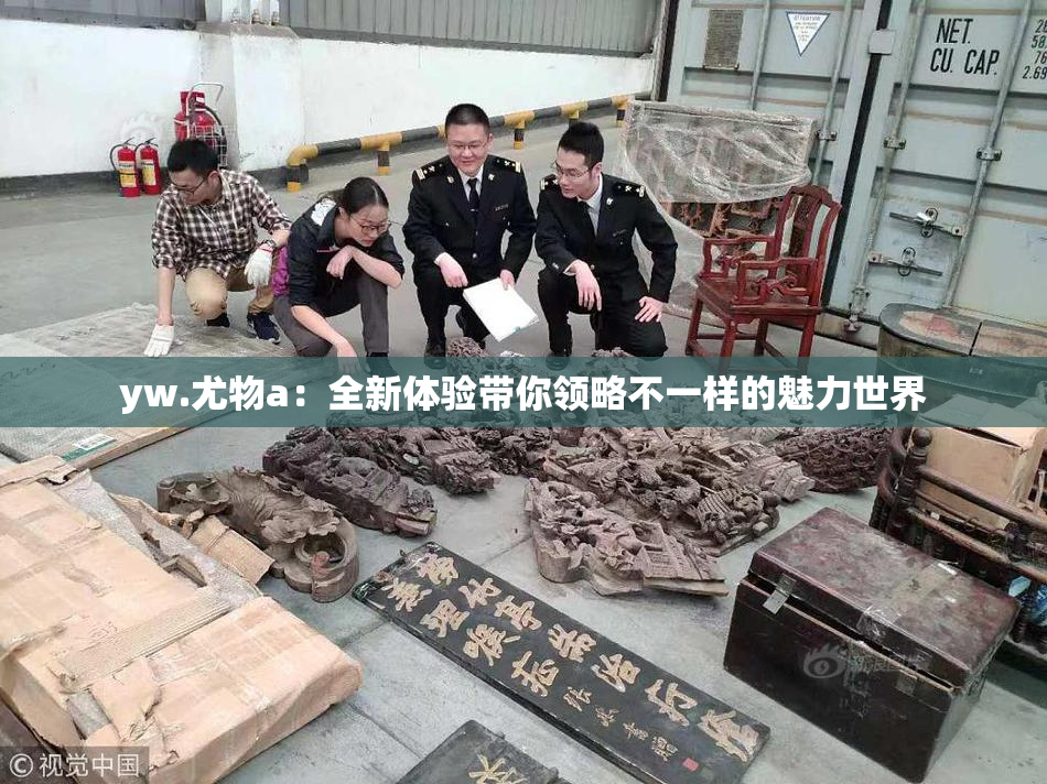 yw.尤物a：全新体验带你领略不一样的魅力世界