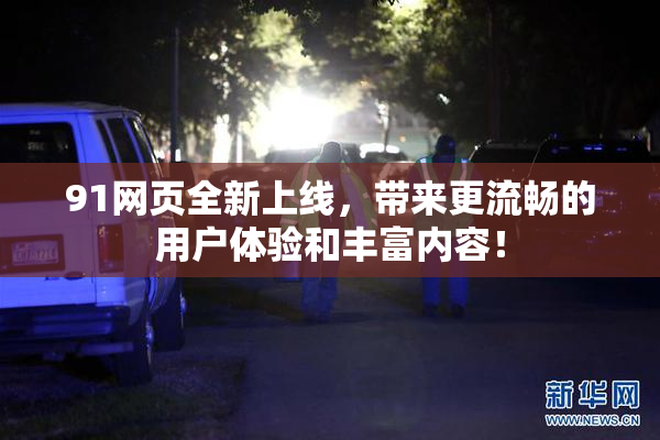 91网页全新上线，带来更流畅的用户体验和丰富内容！