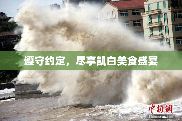 遵守约定，尽享凯白美食盛宴