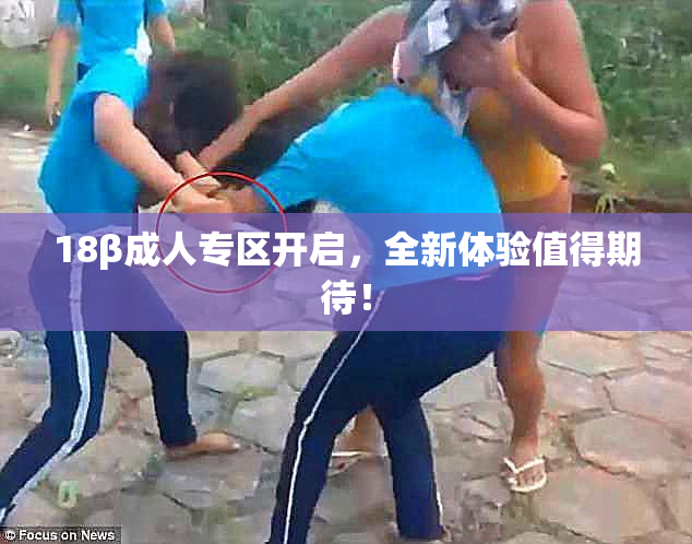 18β成人专区开启，全新体验值得期待！