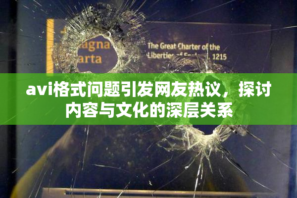 avi格式问题引发网友热议，探讨内容与文化的深层关系
