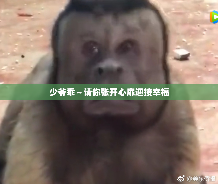 少爷乖～请你张开心扉迎接幸福