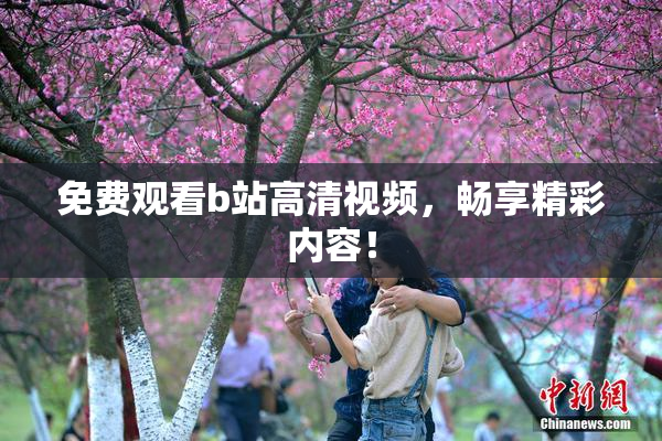 免费观看b站高清视频，畅享精彩内容！