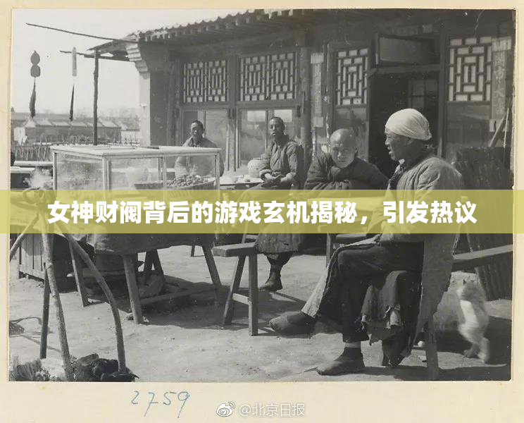 女神财阀背后的游戏玄机揭秘，引发热议