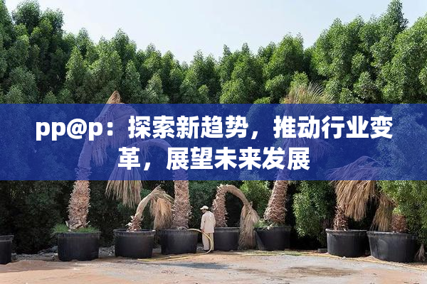 pp@p：探索新趋势，推动行业变革，展望未来发展