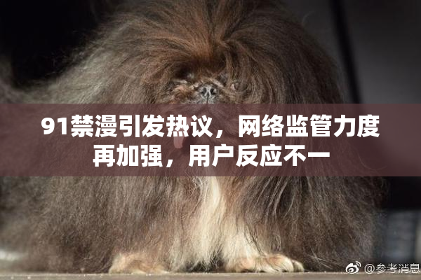 91禁漫引发热议，网络监管力度再加强，用户反应不一