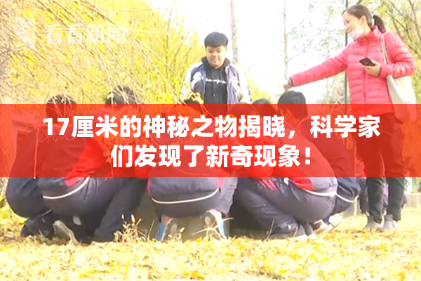 17厘米的神秘之物揭晓，科学家们发现了新奇现象！