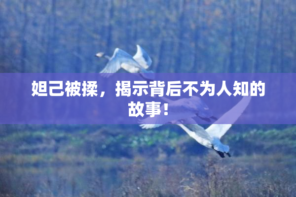 妲己被揉，揭示背后不为人知的故事！