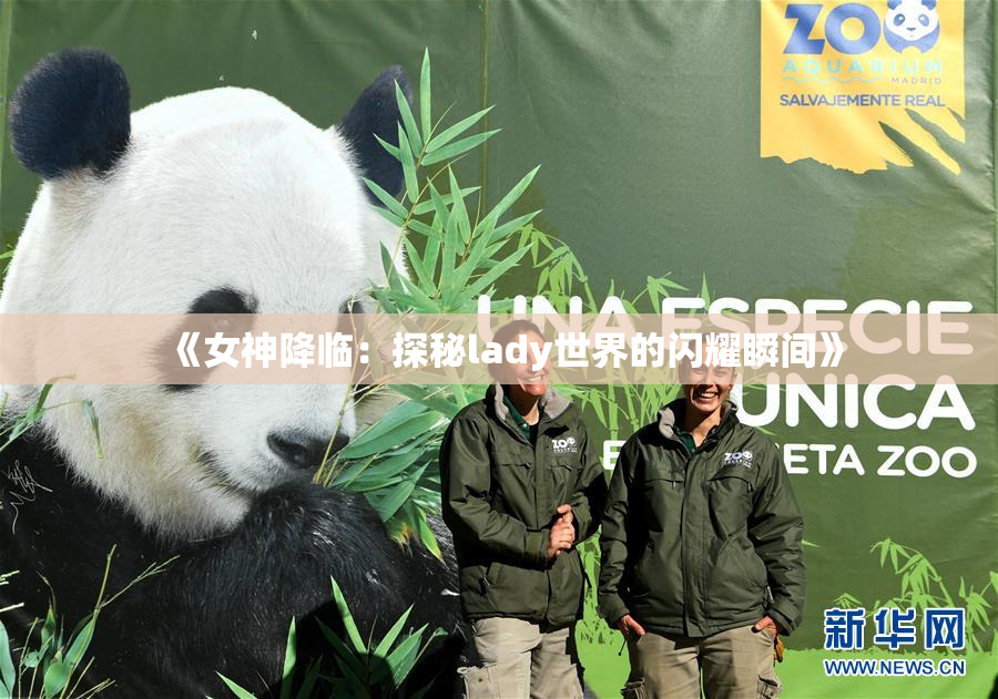 《女神降临：探秘lady世界的闪耀瞬间》