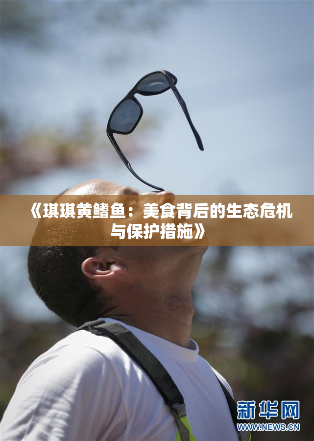 《琪琪黄鳍鱼：美食背后的生态危机与保护措施》