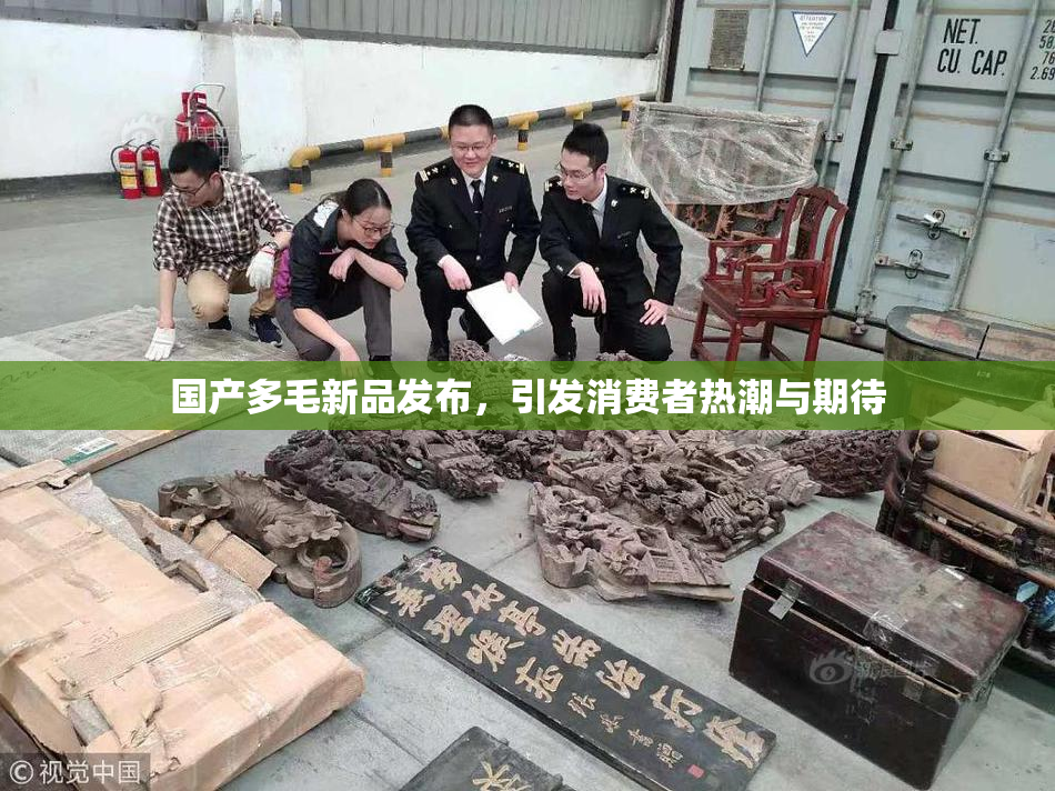 国产多毛新品发布，引发消费者热潮与期待