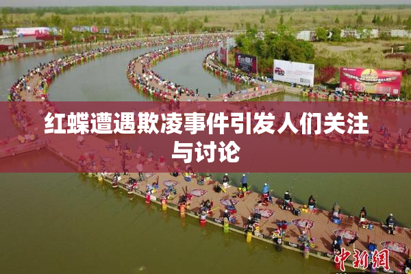 红蝶遭遇欺凌事件引发人们关注与讨论