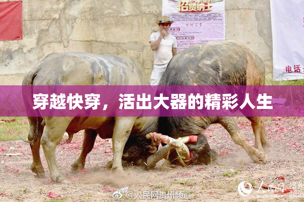 穿越快穿，活出大器的精彩人生