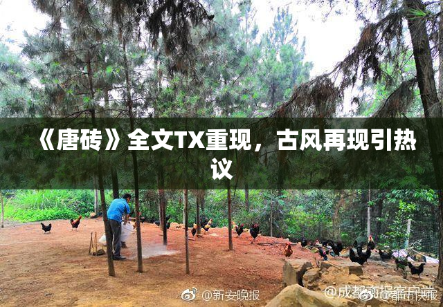 《唐砖》全文TX重现，古风再现引热议