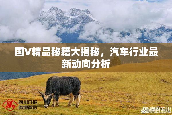 国V精品秘籍大揭秘，汽车行业最新动向分析