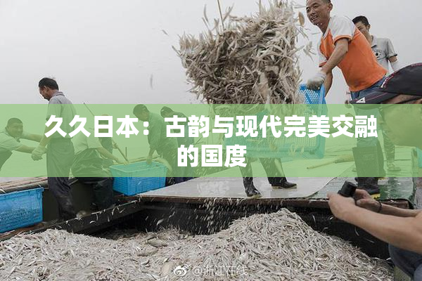 久久日本：古韵与现代完美交融的国度